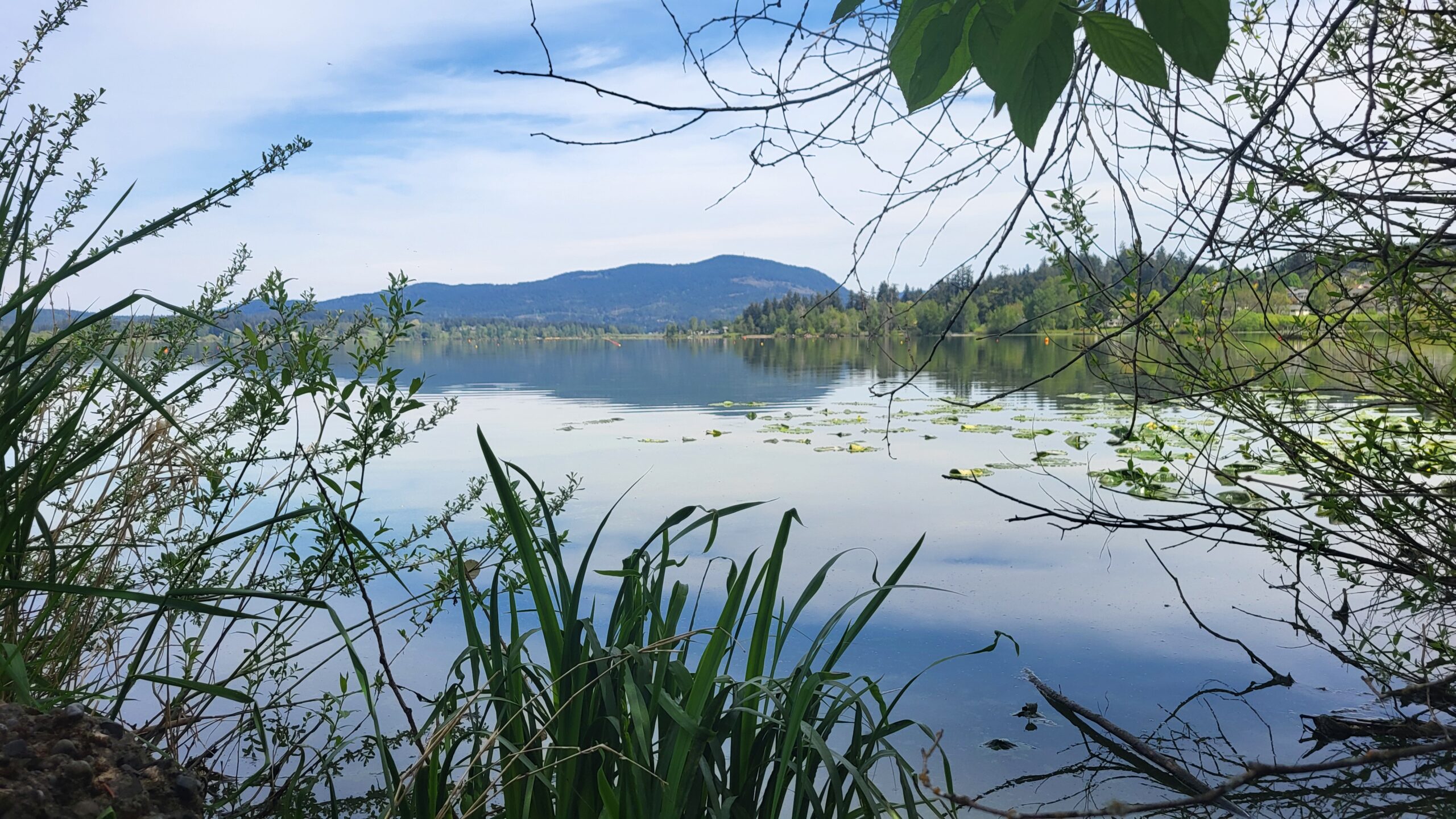 kwa’mutsun xatsa’ | Quamichan Lake in 2026