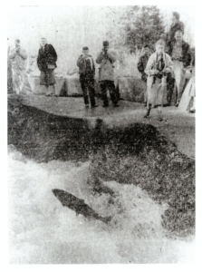tse’tlum’ tthu stth’aqwi’ ni’ ’utl’ skwuts | Salmon at Skutz Falls