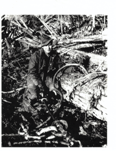 tsqwulhey’ swuy’qe’ | Man Logging